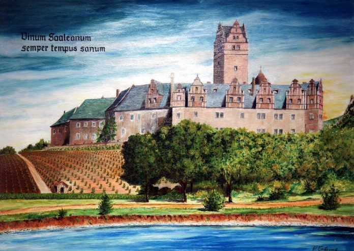 Weingarten am Schloss Pl&ouml;tzkau